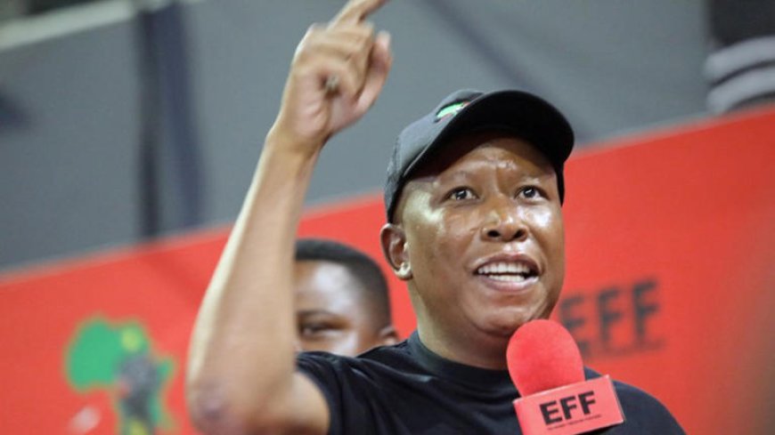 Sadtu Counters Julius Malema in Election Staff Dispute for Upcoming Polls.